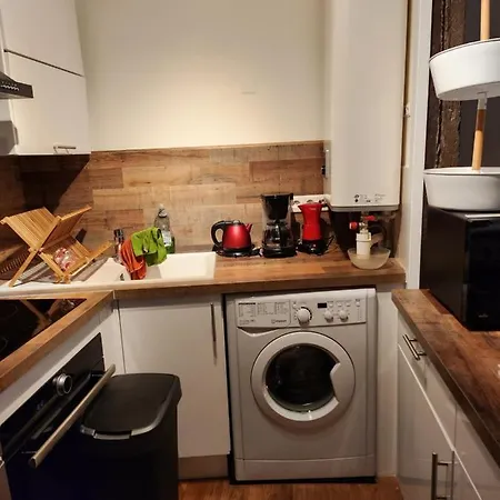 Duplex Le Sully 公寓 佩里格